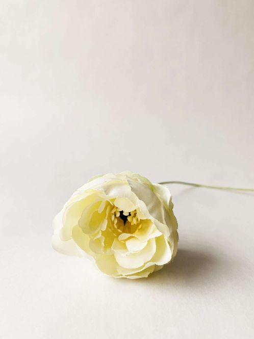 Hovedbilde Peon 50 cm creme